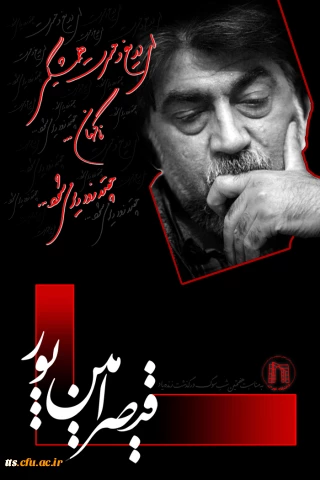 شرکت در شب شعر (آیینه های ناگهان)