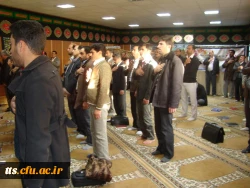 زیارت عاشورا