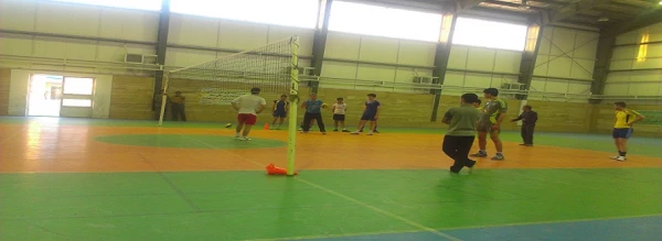 تمرینات تیمهای ورزشی