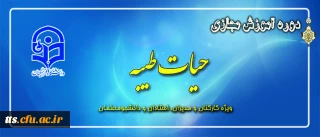 طرح معرفتی حیات طیبه مجازی آغاز شد