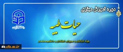 طرح معرفتی حیات طیبه مجازی آغاز شد