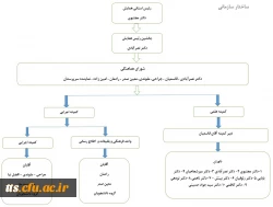 چارت سازمانی همایش 2