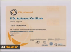 نمونه گواهینامه ICDL پیشرفته بنیاد جهانی