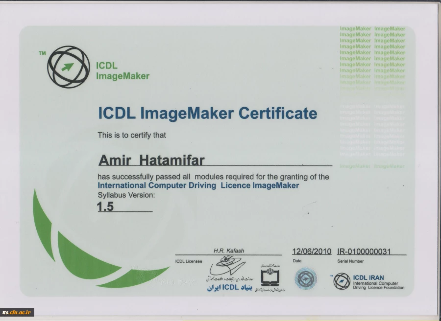 نمونه گواهینامه تصویر سازی بنیاد جهانی