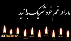 همکار عزیز و ارجمند جناب آقای علی فخاری شیراز 2