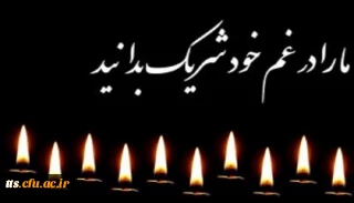 همکار عزیز و ارجمند جناب آقای علی فخاری شیراز