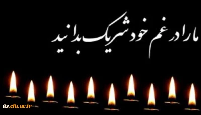 همکار عزیز و ارجمند جناب آقای علی فخاری شیراز