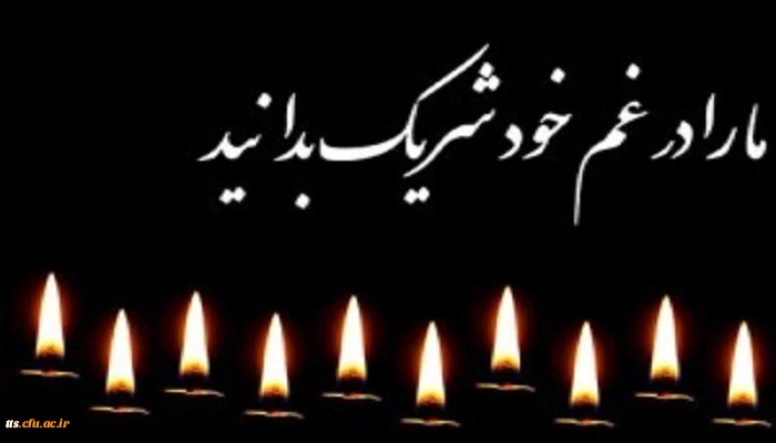 همکار عزیز و ارجمند جناب آقای علی فخاری شیراز 2