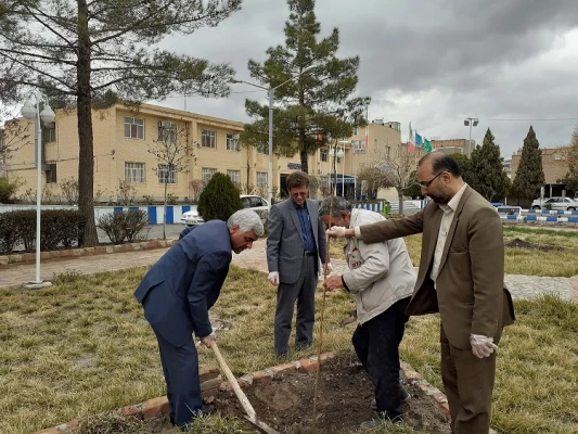 کاشت 10 اصله درخت، همزمان با گرامیداشت روز درختکاری در دانشگاه فرهنگیان سبزوار صورت گرفت.  6