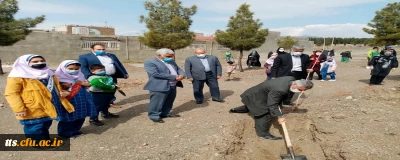 گرامیداشت روز درختکاری 