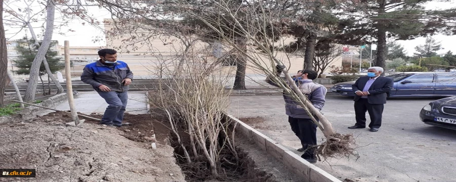 اهدای 150 اصله درخت توسط سازمان سیما منظر شهرداری سبزوار به دانشگاه فرهنگیان  2