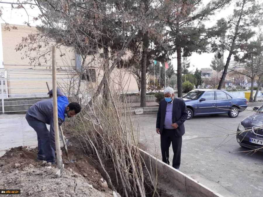 اهدای 150 اصله درخت توسط سازمان سیما منظر شهرداری سبزوار به دانشگاه فرهنگیان  3