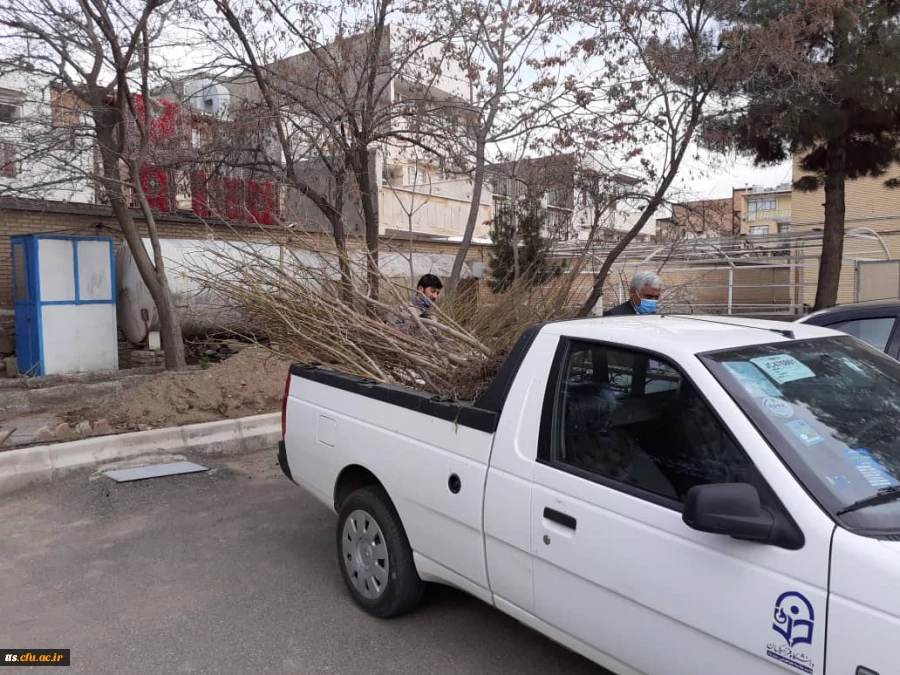 اهدای 150 اصله درخت توسط سازمان سیما منظر شهرداری سبزوار به دانشگاه فرهنگیان  4