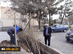 اهدای 150 اصله درخت توسط سازمان سیما منظر شهرداری سبزوار به دانشگاه فرهنگیان  3