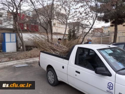 اهدای 150 اصله درخت توسط سازمان سیما منظر شهرداری سبزوار به دانشگاه فرهنگیان  4