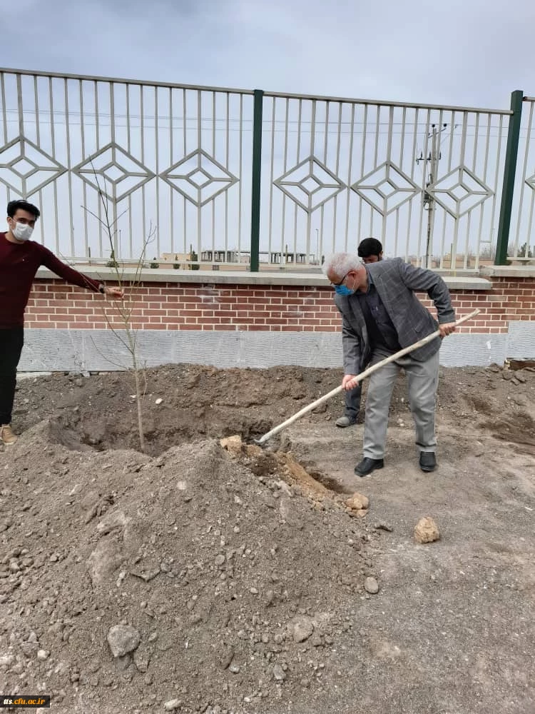 کاشت درخت در روز درختکاری  3