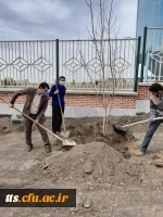 کاشت درخت در روز درختکاری  4