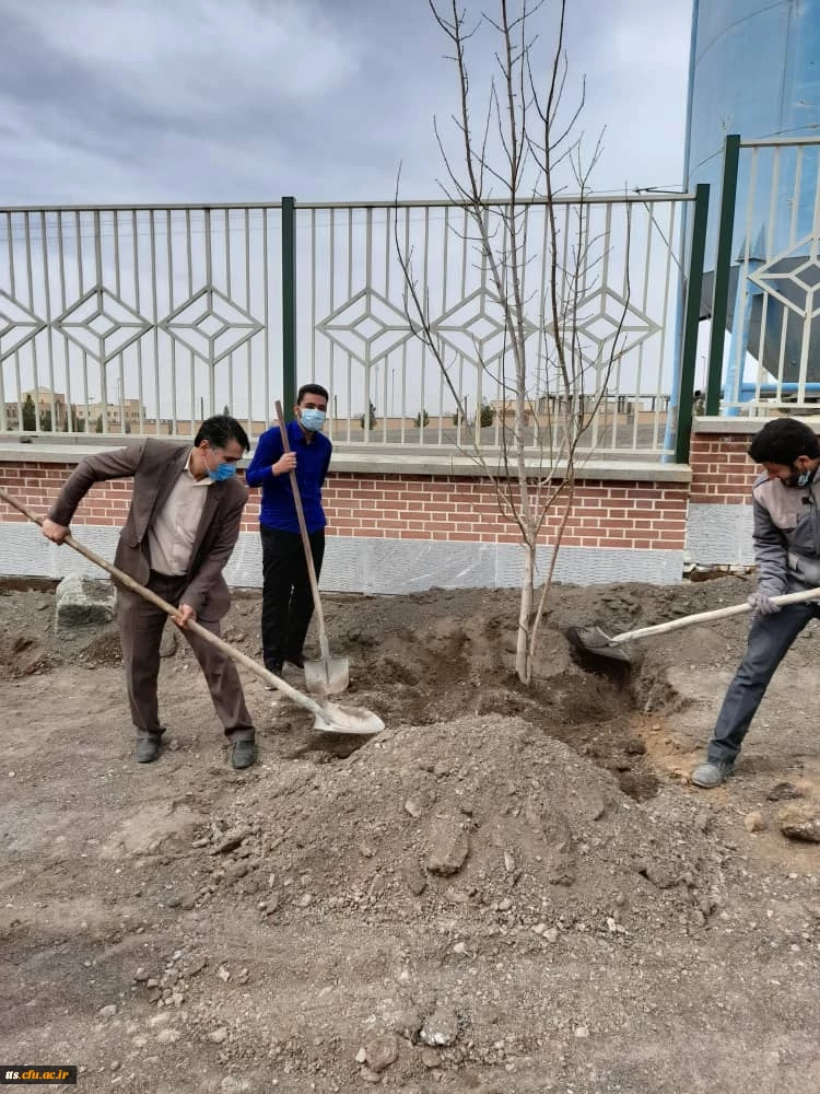 کاشت درخت در روز درختکاری  4