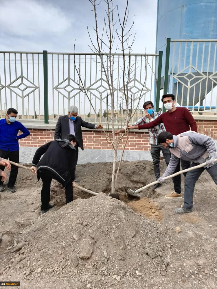 کاشت درخت در روز درختکاری  5