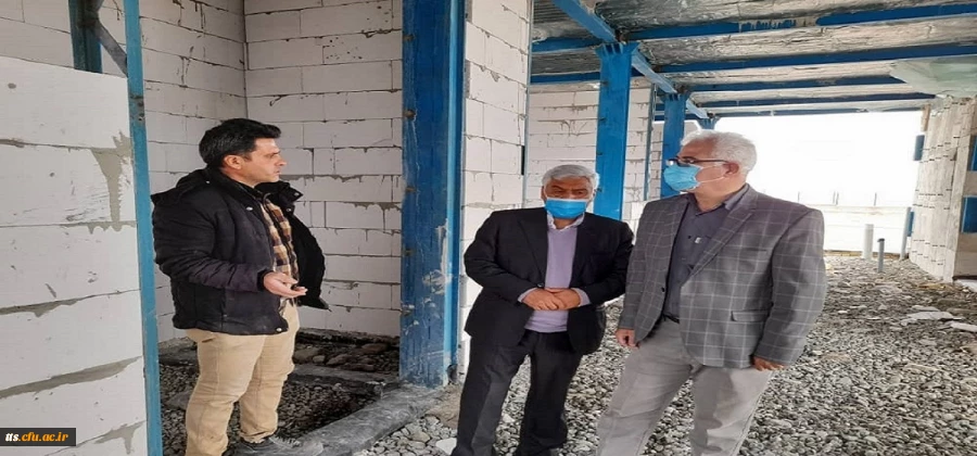 کاشت درخت در روز درختکاری  2