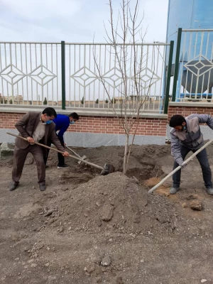 در تاریخ 28 اسفند ماه 1399، جمعی از دانشجو معلمان و کارکنان دانشگاه فرهنگیان سبزوار با حضور در ساختمان دوم دانشگاه فرهنگیان سبزوار،  به کاشت چند اصله درخت که از طرف سازمان سیما منظر به ساختمان دوم دانشگاه فرهنگیان سبزوار اهدا شده بود، اقدام نمودند. 3