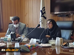 وبینار بزرگداشت مقام مولانا  2