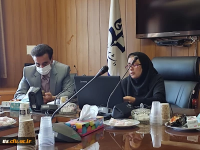 وبینار بزرگداشت مقام مولانا 