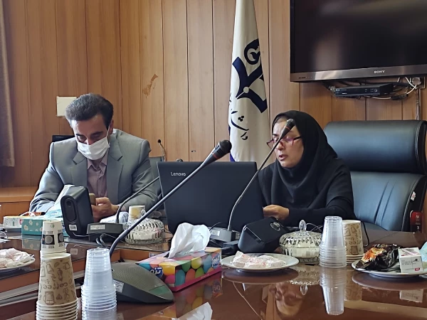 وبینار بزرگداشت مقام مولانا  2