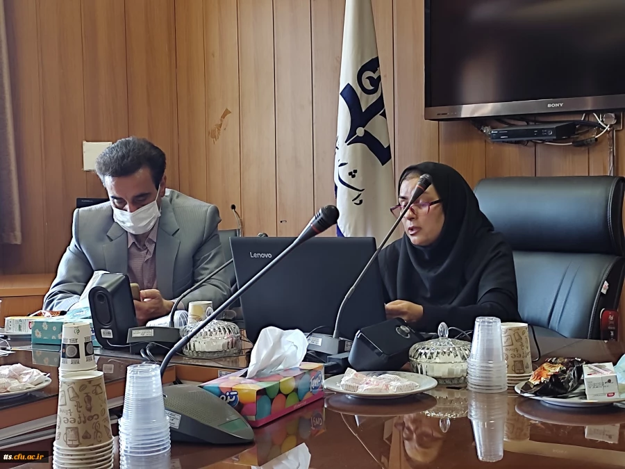 وبینار بزرگداشت مقام مولانا  2