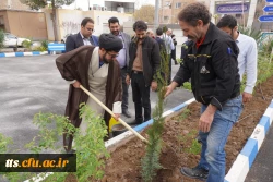 به استقبال بهار... 2