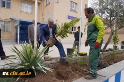 به استقبال بهار... 3