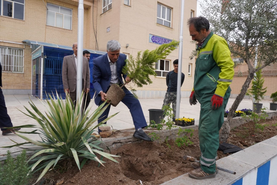 به استقبال بهار... 3