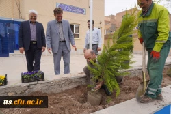 به استقبال بهار... 4