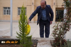 به استقبال بهار... 5