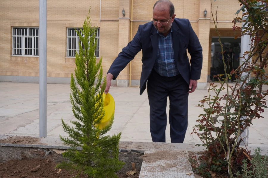 به استقبال بهار... 5