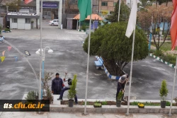 به استقبال بهار... 6