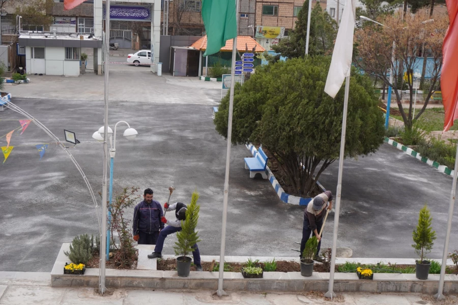 به استقبال بهار... 6