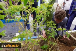 به استقبال بهار... 8