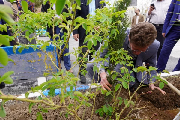 به استقبال بهار... 8