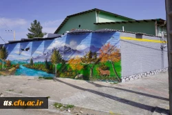 به استقبال بهار... 13