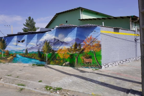 به استقبال بهار... 13