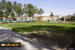 به استقبال بهار... 16