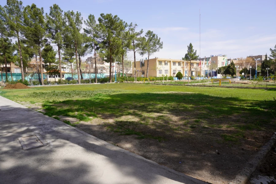 به استقبال بهار... 16