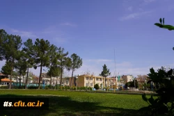 به استقبال بهار... 17