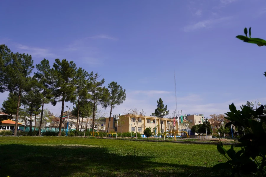 به استقبال بهار... 17