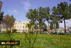 به استقبال بهار... 18