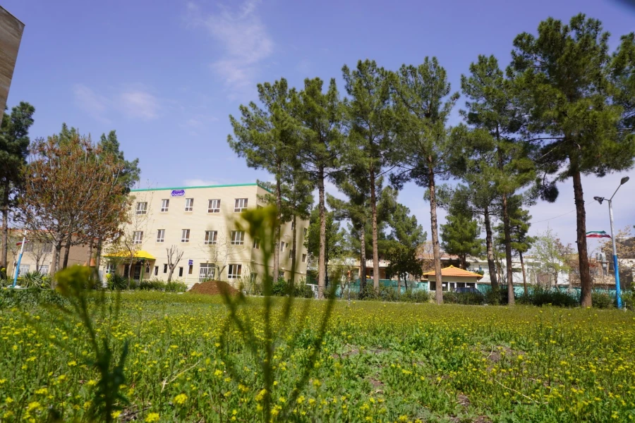 به استقبال بهار... 18