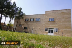 به استقبال بهار... 19