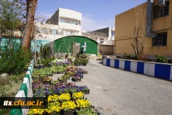 به استقبال بهار... 20