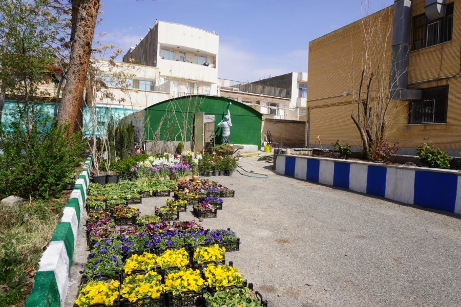 به استقبال بهار... 20